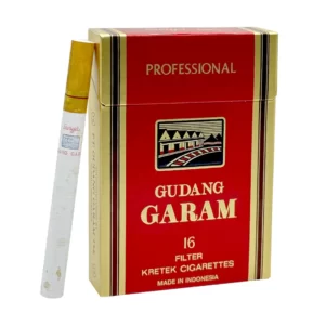บุหรี่นอก กาแรม 16 Professional